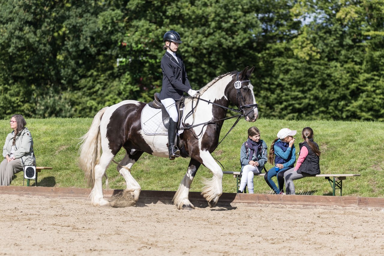 Bild 58 - Pony Akademie Turnier
